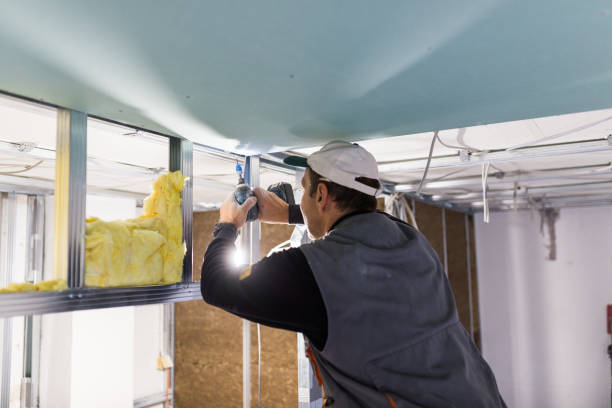 Best Insulation Materials and Products in Elberta, AL