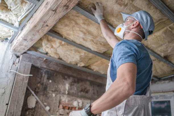 Best Residential Insulation in Elberta, AL