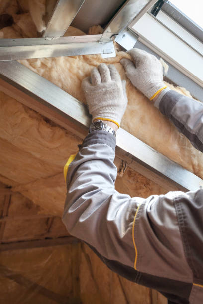 Best Insulation Installation Services in Elberta, AL
